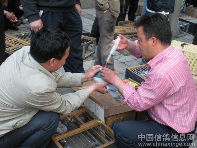 �����Ÿ�Э��500���ﾺ�輯���ֳ�