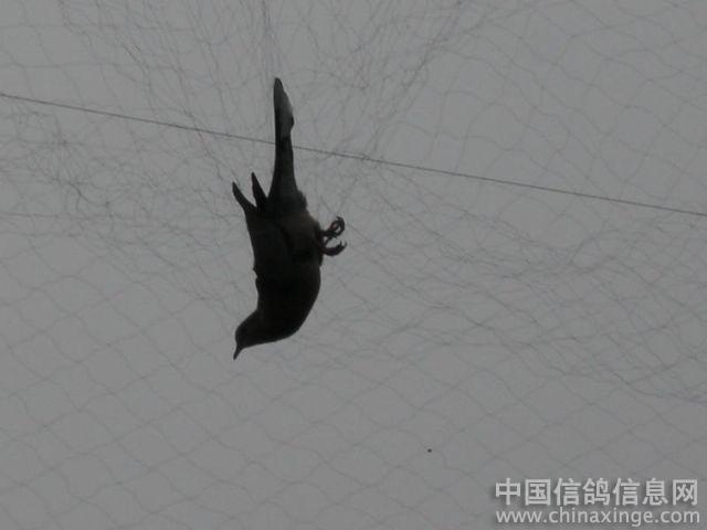 �ܿ�����ɺ�