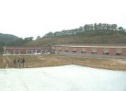 ���ڵ��¹���(ͼ)