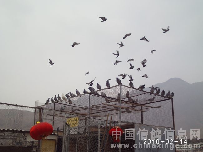 �´���Ը��(ͼ)