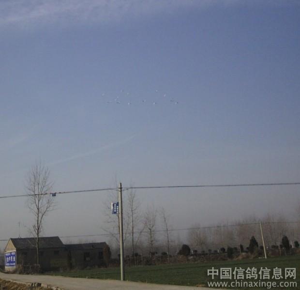 2010����׼��������(ͼ)