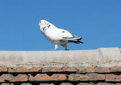 �����¾������(ͼ)