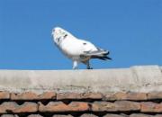 �����¾������(ͼ)