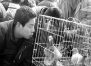 �����������2010���Ǹ��ӻ�(ͼ)