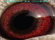 ��������д��ͼ