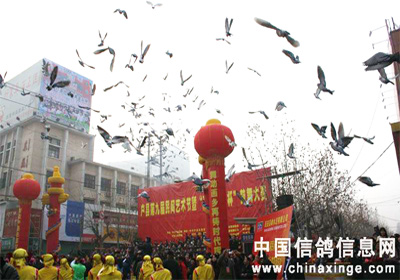 2010��ʸ����˹���������(ͼ)