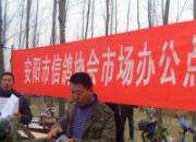 ���ֵİ�������(ͼ)