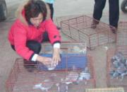 ��ڸ�Э����30����ѵ��ͼ