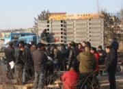 ����ʯ�͸�Э300���Ｏ���ֳ�(ͼ)