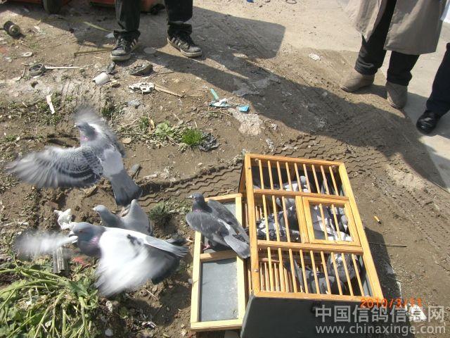 2010��ĵ�һ��ѵ�ţ�ͼ��