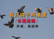 ��ֻ���ӽкڵ�����ƪ���أ�֮��һ��