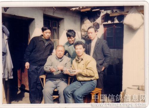 �����������Ƭ(ͼ)