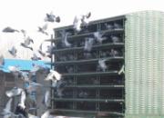 ��������������ĵ�һ�η���(ͼ)