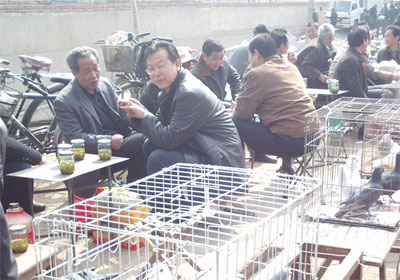 �紺�����ݸ���(ͼ)