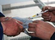 ��������˹���Ϊ�׸�������(ͼ)