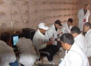 ���ݽ𻪹��ﴺ�������ֳ�(ͼ)