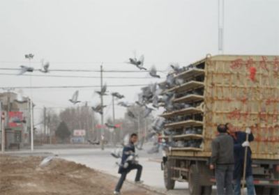 ���蹫��ѵ����ɳ����ʧ����� ������̲���