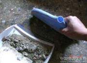 ��ĩæ�ڸ���(ͼ)