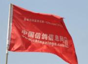 ʯ��ׯ400��������ȸ뻨��