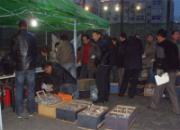 ����������һ������(ͼ) 