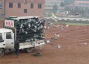 �����Ÿ������(ͼ)