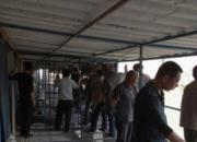 ��������2010���������ֳ�