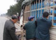 �����潭�ֻ�515վ�ŷɻ���