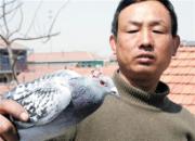 �ൺ���֡������˸롱(ͼ)