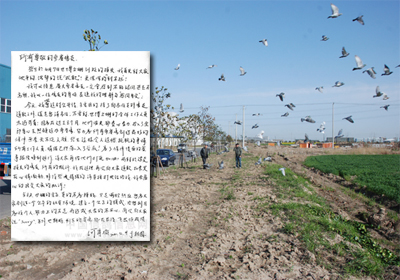 �Ϻ����������²������ѹ�����(ͼ)