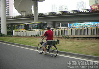 ��ѵ���羰���޺�(ͼ)