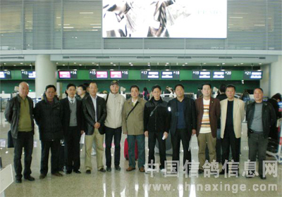 �Ϻ�����ǿ���Ÿ����ι۷���(ͼ)