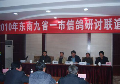 2010�궫�Ͼ�ʡһ���Ÿ����ֻ��ٿ�(ͼ)