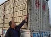 ������Э�İٹ��ﵱ�չ�1620��(ͼ)