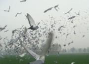 ����˴����ؼ���ŷ�ȫ����(ͼ)