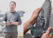 ���±�����������������뿪ʼ½���鳲(ͼ)