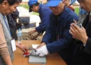 ������껹���300����Ԥ���ֳ�(ͼ)