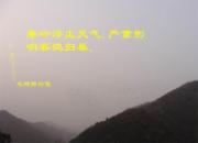 ����ɽ�ϸ�Ⱥ����(ͼ)