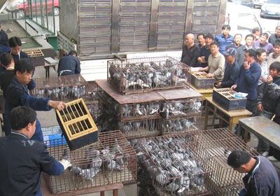 �����з�̨���5��2��880�����ֳ�