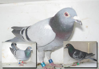 ������̨���880����ǰʮ��(ͼ)