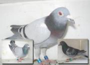 ������̨���880����ǰʮ��(ͼ)