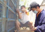 ��͹����������ȫ����(ͼ)