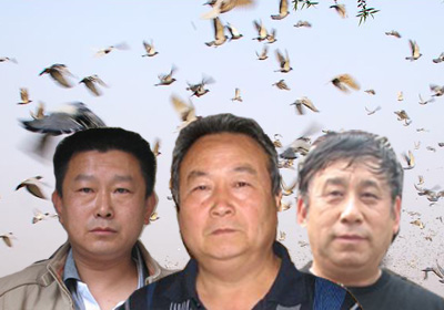 ����������880�������ǰʮ��(ͼ)