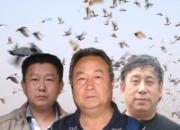 ����������880�������ǰʮ��(ͼ)