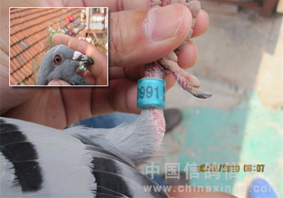 ˫�ϡ��ھ�����ȡ������������Ӧ��������