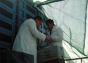 ��ͷ���Ź���Ԥ��8��5�ֿ���