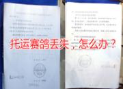 ���˹���붪ʧ ���ѳɹ�άȨ(ͼ)