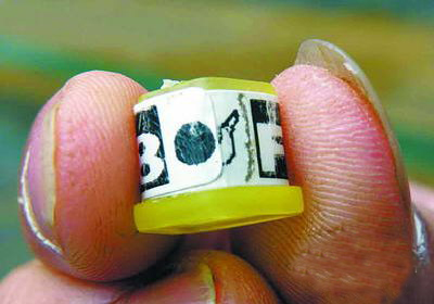 ��Υ����ӡ���������������Ǿ��ɼ���Ч