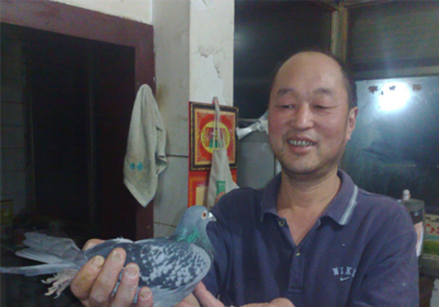 �ɶ�800���ﵱ�չ鳲��һ��(ͼ)