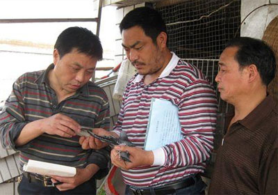 �嶫�رȲ���������ί�����ź˲�(ͼ)