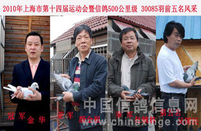 �Ϻ��е�ʮ�Ľ��˶���500����������ǰ����